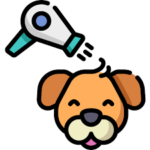 cachorro higiene banho e tosa