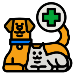 visita veterinaria gato cachorro