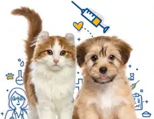 Vacinas Para Cães e Gatos
