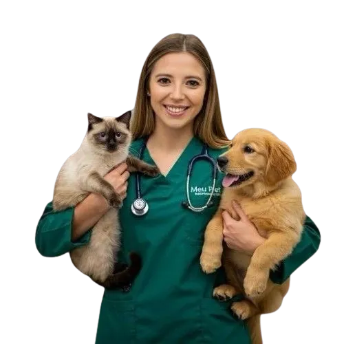 clinica veterinária 24 horas