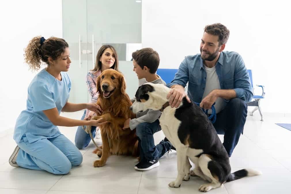 clínica veterinária